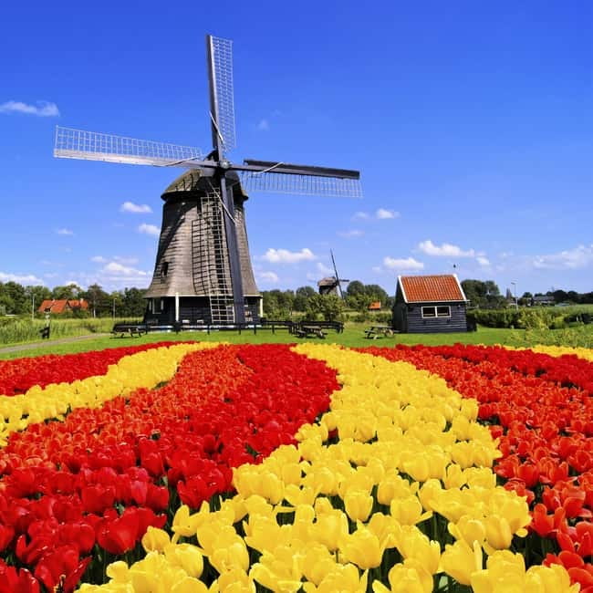 Amsterdam: Private Keukenhof and Free Tulip Tour - Pickup from Amsterdam, Schiphol, and nearby towns