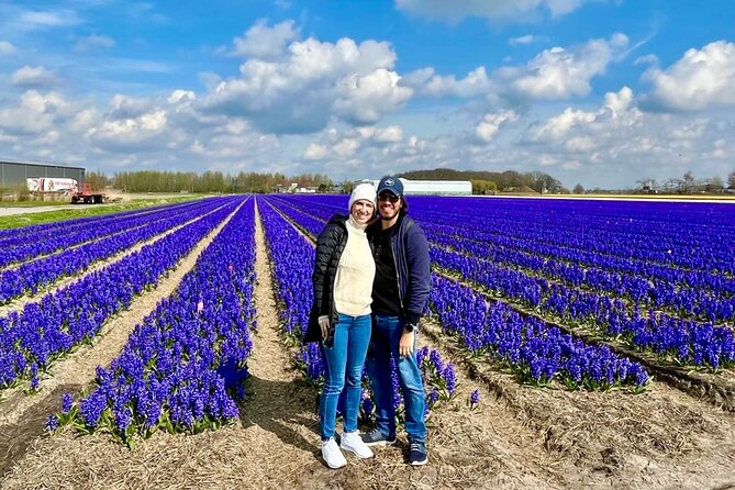 Amsterdam Private Tour to Keukenhof, Tulip Fields and Windmills - A full Dutch day without handling the roads