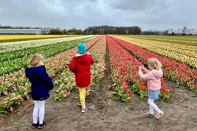 Amsterdam Private Tour to Keukenhof, Tulip Fields and Windmills - Keukenhof: the main event for flower lovers