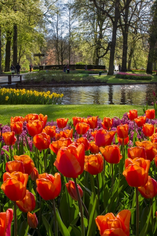 Amsterdam: Tour to Keukenhof Gardens with Windmill Cruise - Starting at This Is Holland behind Central Station