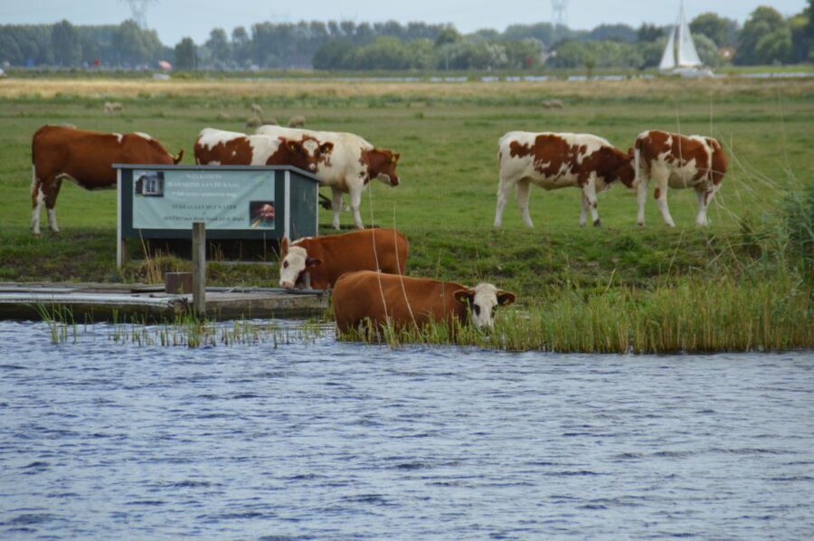 Amsterdam: Tour to Keukenhof Gardens with Windmill Cruise - FAQ