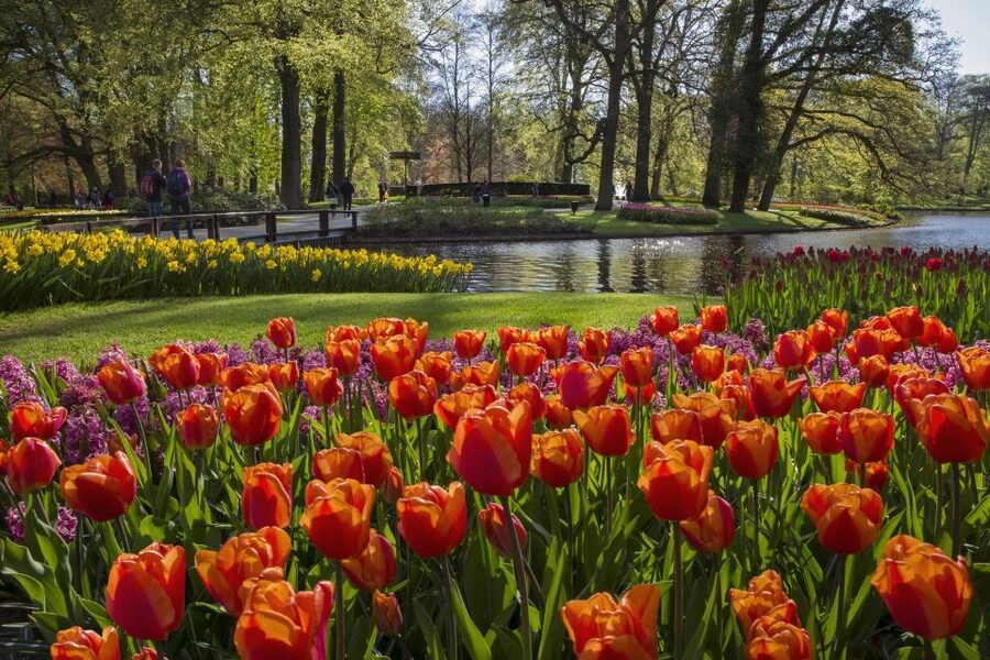 Amsterdam: Tour to Keukenhof Gardens with Windmill Cruise - Returning to Amsterdam on your own schedule