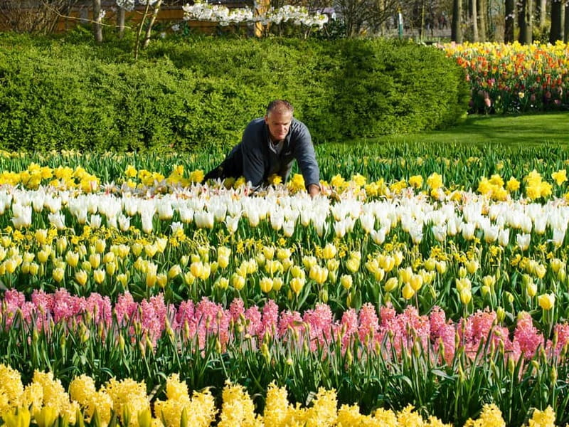 Amsterdam: Tulip Farm Visit, Keukenhof, and Windmill Cruise - Practical tips for a smoother day