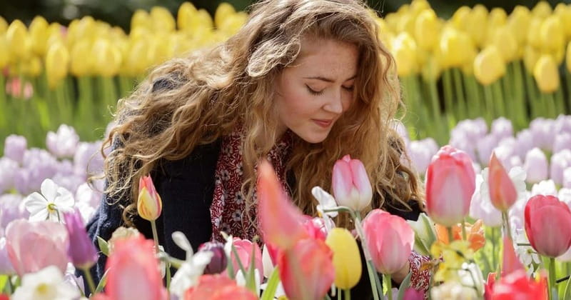 Amsterdam: Tulip Farm Visit, Keukenhof, and Windmill Cruise - Why this day trip works so well