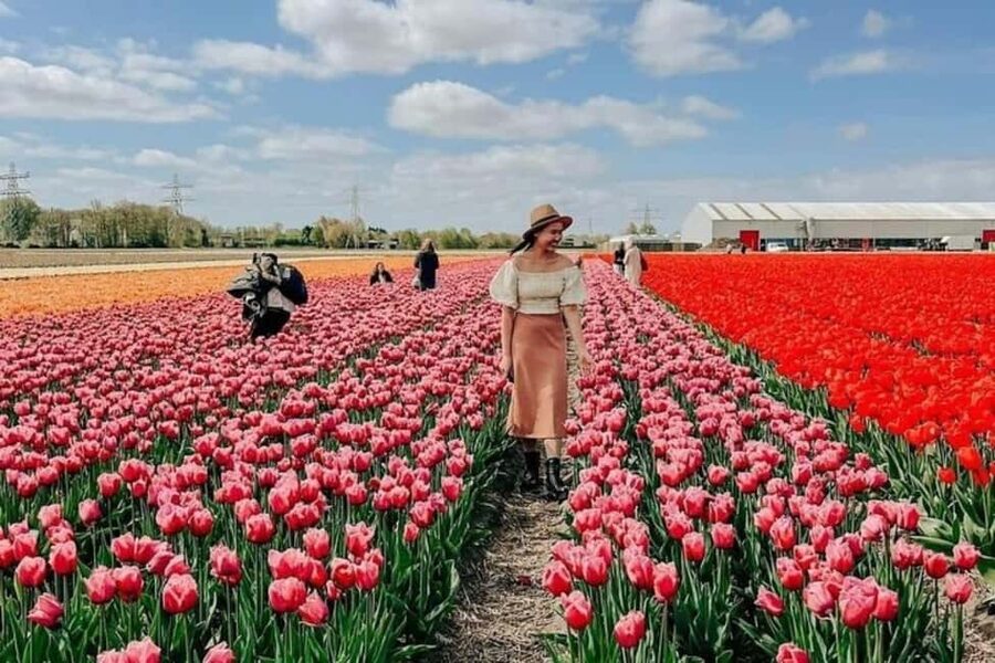 Amsterdam: Tulip Farm Visit, Keukenhof, and Windmill Cruise - At De Tulperij, meet Daan and see the fields up close