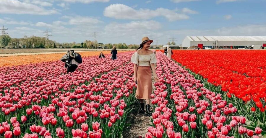 Amsterdam: Tulip Farm Visit, Keukenhof, and Windmill Cruise - Four hours at Keukenhof