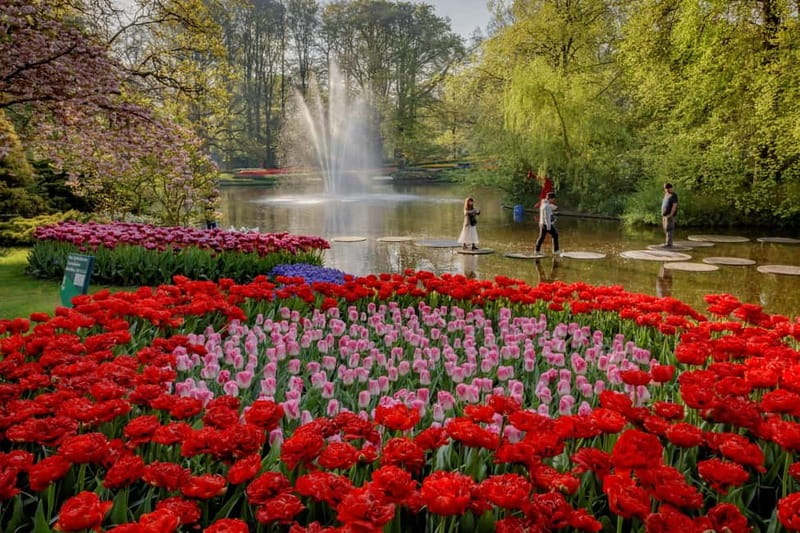 Amsterdam: Tulip Farm Visit, Keukenhof, and Windmill Cruise - The flexible return is a major advantage