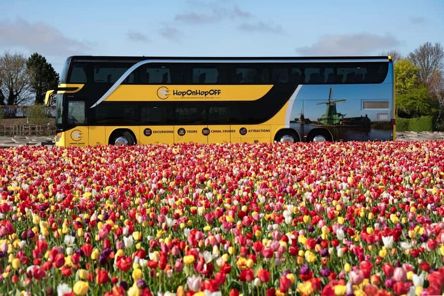 Amsterdam: Tulip Farm Visit, Keukenhof, and Windmill Cruise - Who will enjoy this tour most?