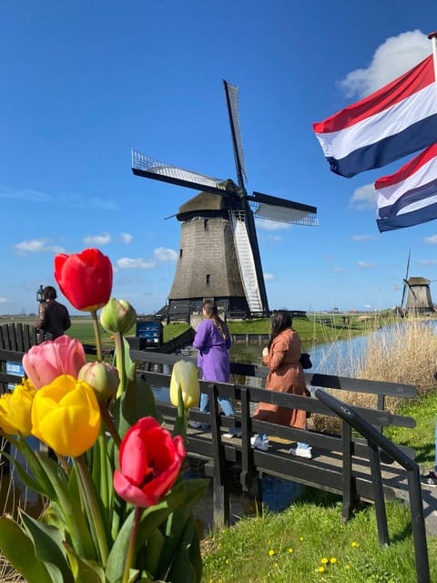 Amsterdam: Tulip Fields Day Tour with Lunch & Windmill - The tour in four quick points
