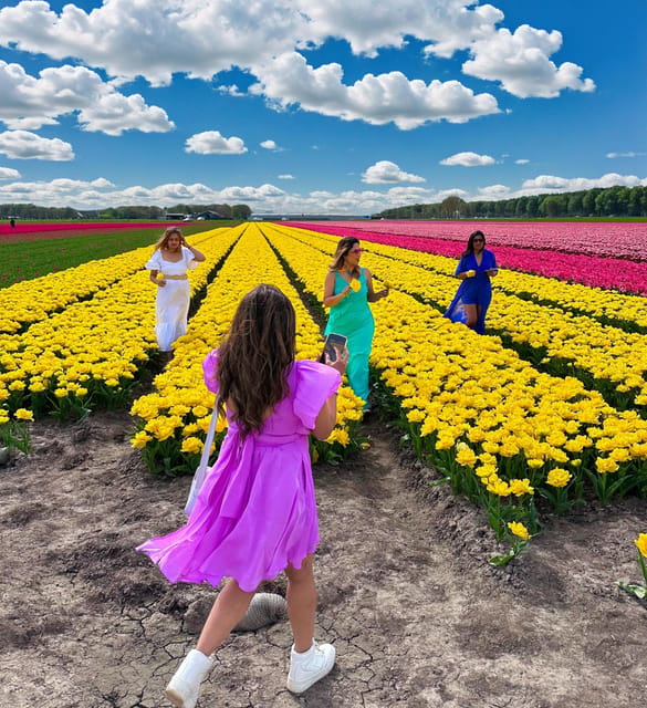 Amsterdam: Tulip Fields Day Tour with Lunch & Windmill - Why the northern tulip route is worth your time