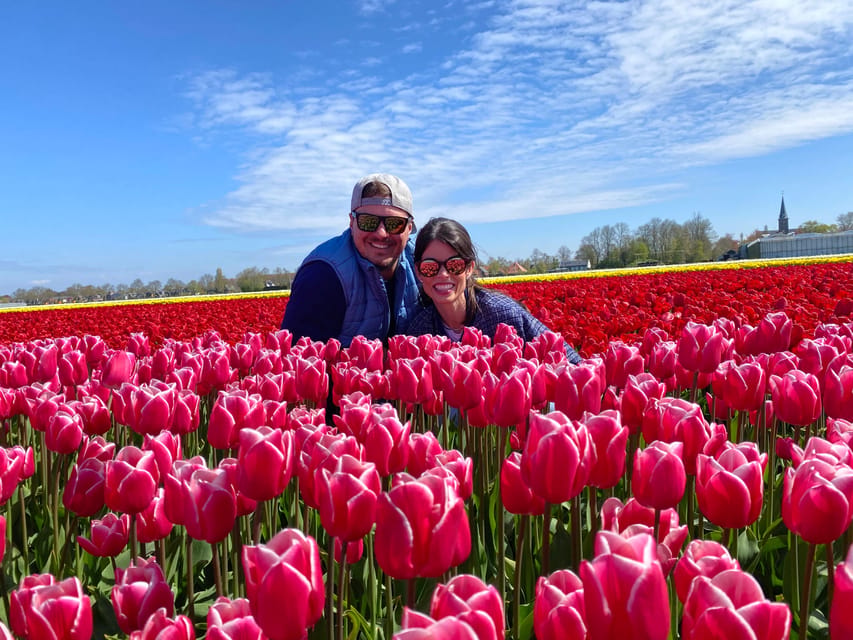 Amsterdam: Tulip Fields Day Tour with Lunch & Windmill - Three tulip fields, three different views of the crop