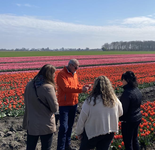 Amsterdam: Tulip Fields Day Tour with Lunch & Windmill - A working windmill dating to 1633