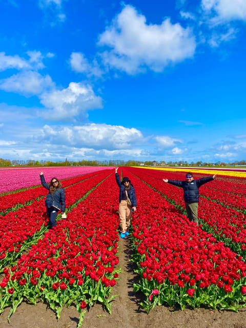 Amsterdam: Tulip Fields Day Tour with Lunch & Windmill - Who should book this tour