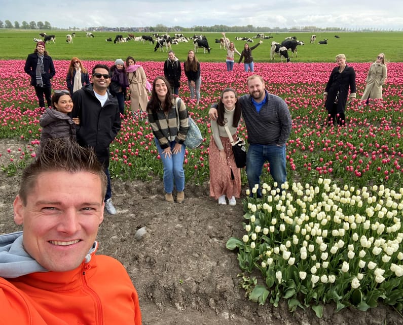 Amsterdam: Tulip Fields Day Tour with Lunch & Windmill - Should you book the North Holland tulip tour?