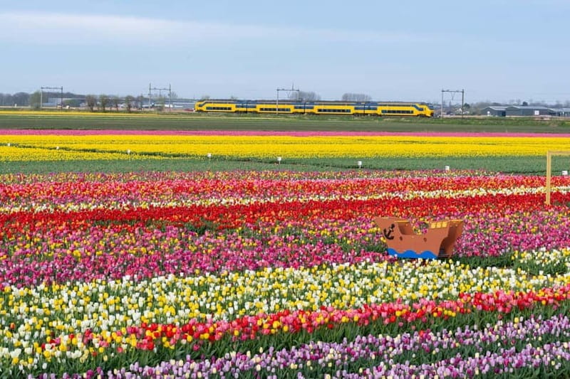 Amsterdam : Tulip Wonderland Tour - Booking flexibility and practical details