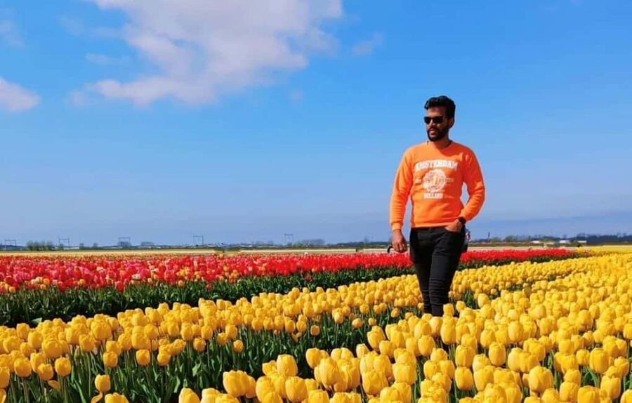 Amsterdam : Tulip Wonderland Tour - Make the most of your photo time