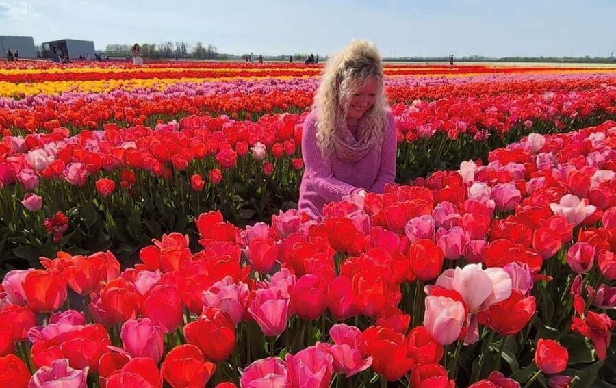 Amsterdam : Tulip Wonderland Tour - Lunch, flowers, and what the price covers