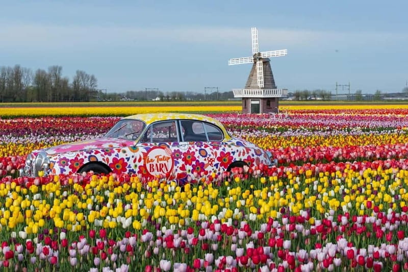 Amsterdam : Tulip Wonderland Tour - Who should book the Tulip Wonderland Tour