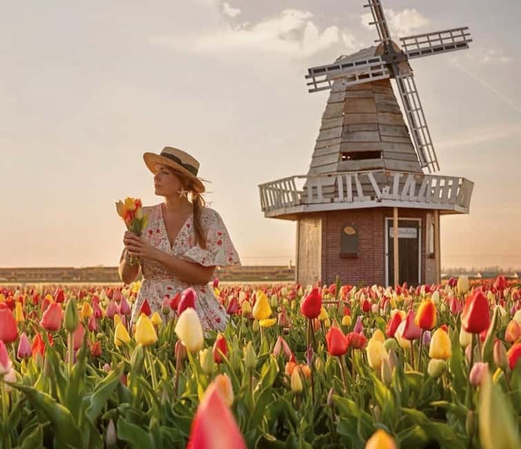 Amsterdam : Tulip Wonderland Tour - Meeting at Market 27 in Amsterdam Noord
