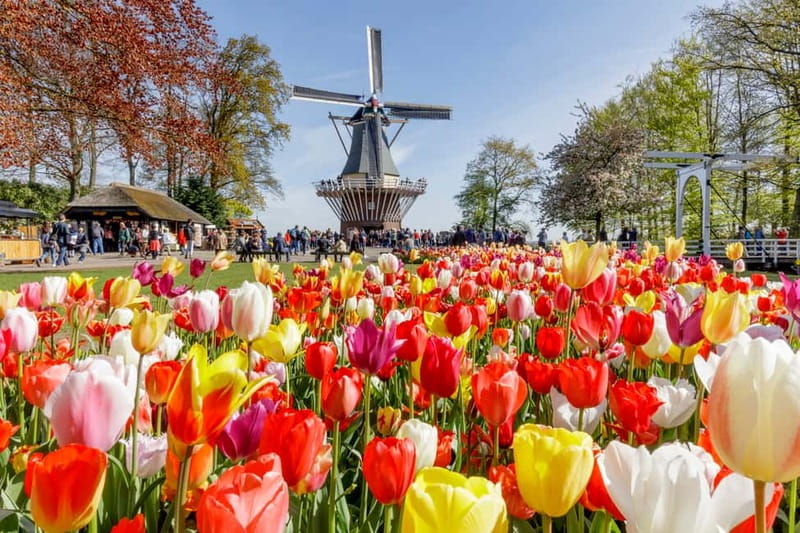 Antwerp: Full-day Holland Guided Keukenhof & Windmills Tour - Is $170 a fair price?