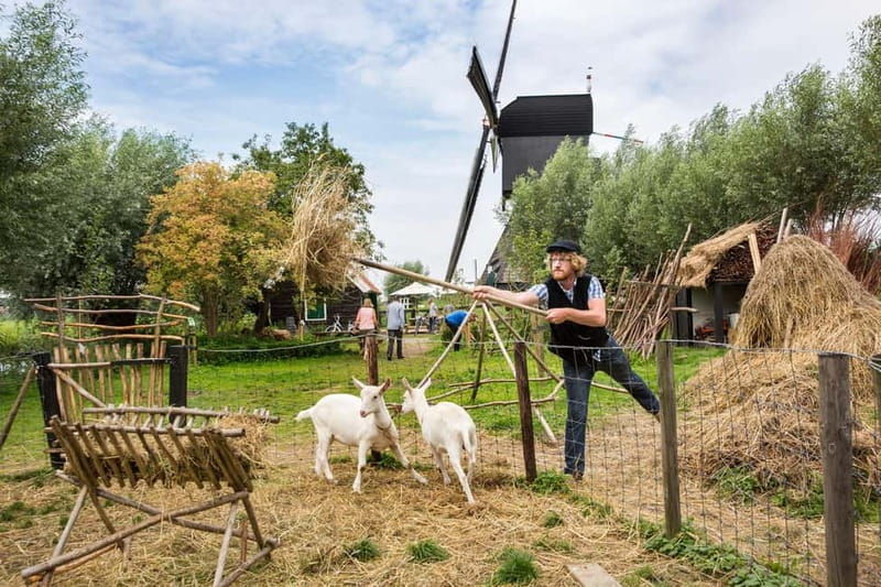Antwerp: Full-day Holland Guided Keukenhof & Windmills Tour - My booking advice