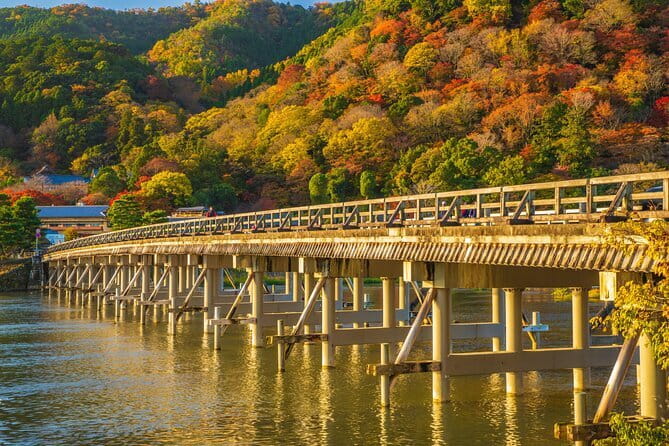 Arashiyama Bamboo & "Must See" Gardens with an Amazing Guide - Walking through the Bamboo Forest