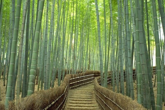 Arashiyama Bamboo & "Must See" Gardens with an Amazing Guide - Okouchi Sanso Garden and tea