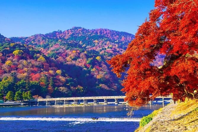 Arashiyama Bamboo & "Must See" Gardens with an Amazing Guide - Tenryu-ji Temple and its Zen gardens