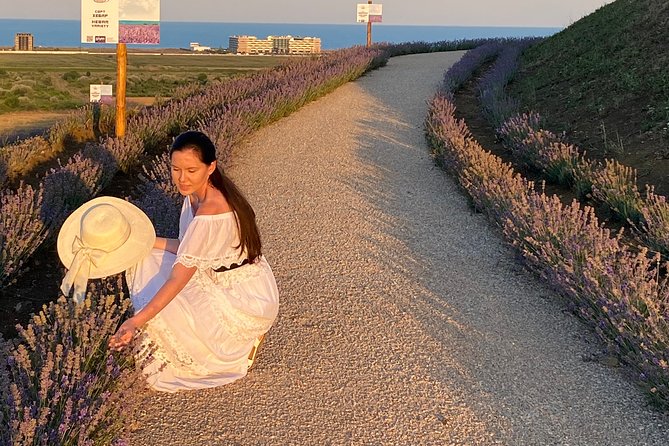 Aroma sampling of 5 Bulgarian Lavender varieties at DiVes Winery - The complimentary DiVes wine