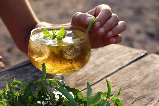 Aromatic Experience in the Medicinal Garden in Ibiza - Key points to know before you book