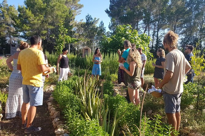 Aromatic Experience in the Medicinal Garden in Ibiza - Finding the garden in northern Ibiza