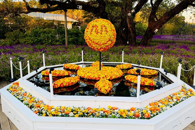 Ashikaga Flowers Park Pvt. One Day Tour with Pickup - Why Ashikaga Flower Park makes the long ride worthwhile