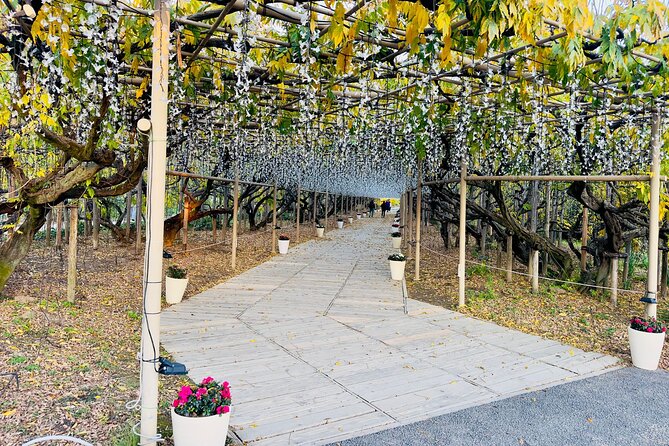 Ashikaga Flowers Park Pvt. One Day Tour with Pickup - What the private vehicle adds to a Tokyo day trip