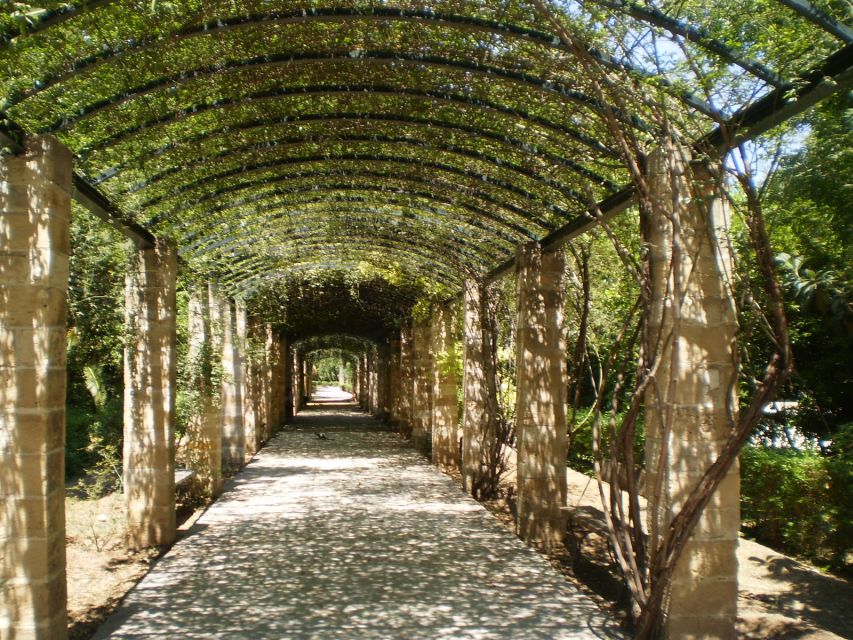 Athens: National Garden 2-Hour Segway Tour - Getting comfortable on the Segway