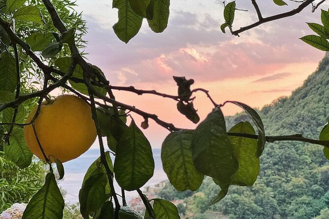 Authentic Amalfi Lemon Tour & Tasting in the Historical Garden - The walk up to the historical garden