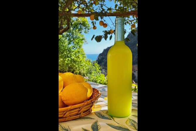 Authentic Amalfi Lemon Tour & Tasting in the Historical Garden - How much value do you get for $49.48?
