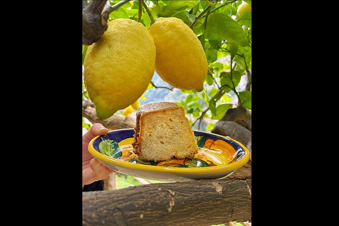 Authentic Amalfi Lemon Tour & Tasting in the Historical Garden - Who will enjoy this Amalfi lemon tour?