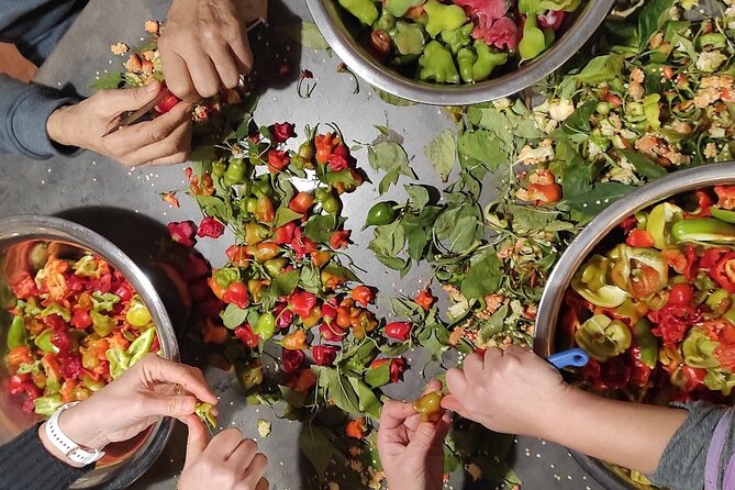 Authentic Garden to Table Cooking Class in Dubrovnik Countryside - An occasional bicycle addition