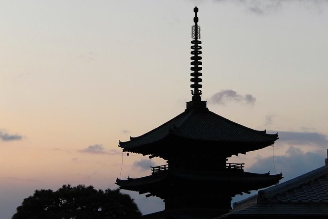 Authentic Kyoto Tea Ceremony: Camellia Flower Teahouse - The tone: calm, friendly, and open to questions