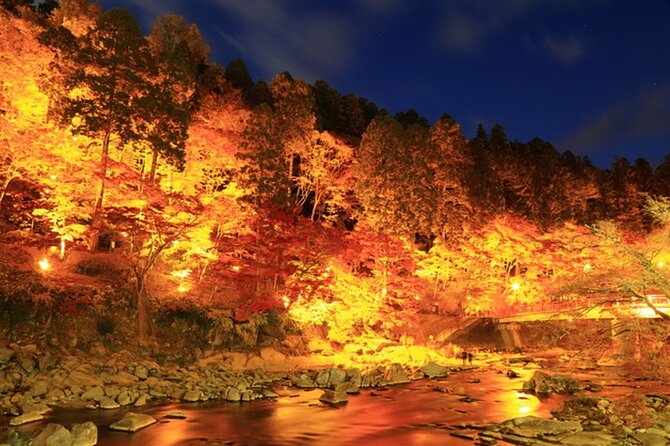 Autumn leaves＆ illuminations at Korankei , winter cherry blossoms - Why this Aichi day trip is different