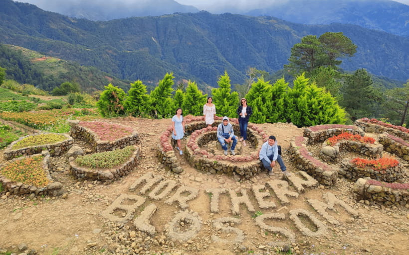 Baguio Atok Flower Blossoms (Private Tour) - The 6:00 AM departure from Baguio