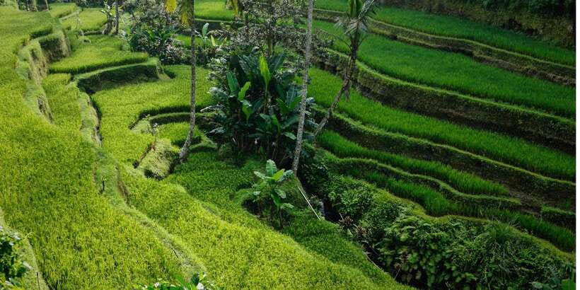 Bali: Secret Garden, Ulun Danu Temple and Waterfall Tour - FAQ