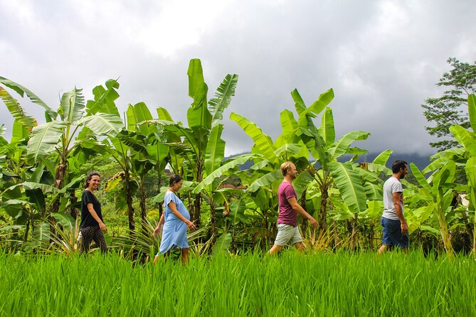 Balinese Vegan Cooking Class with Fresh Harvesting & Garden Tour - A plant-to-plate class in rural Sidemen