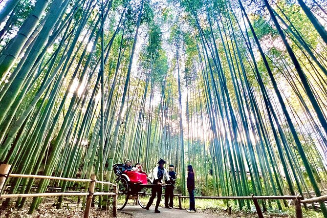 Bamboo Grove Temple and Garden Views Tour - Starting at Kimono Forest and Togetsukyo Bridge