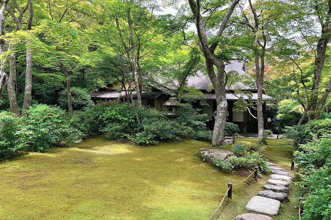 Bamboo Grove Temple and Garden Views Tour - Walking through the Arashiyama Bamboo Forest