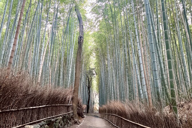 Bamboo Grove Temple and Garden Views Tour - Okochi Sanso Garden and Kyoto from above