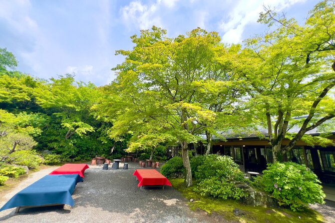 Bamboo Grove Temple and Garden Views Tour - Nonomiya Shrine, a quieter final stop