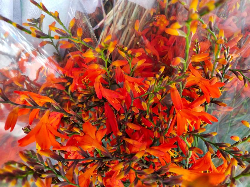 Bangkok:4Hour Flower Market and Little India Tour Mini Group - What the $75 price really buys