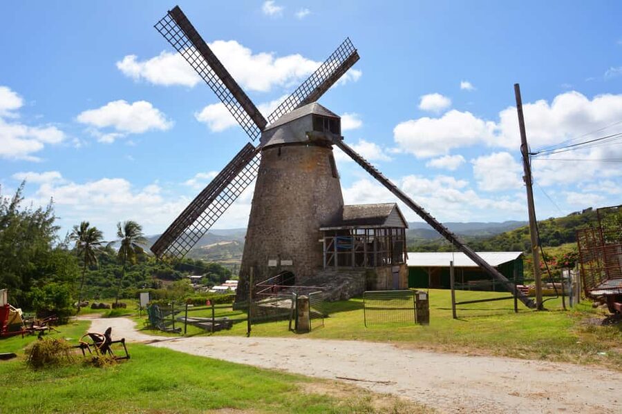 Barbados: Island Tour with Animal Flower Cave and Lunch - Key points at a glance