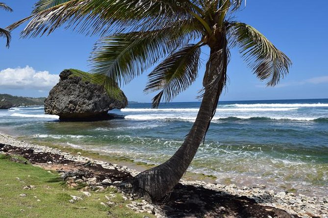 Barbados Small-Group Garden & Wildlife Half-Day Tour - A short tour with a big Barbados sampler